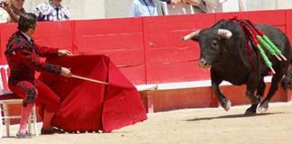 Morante citando al toro sentado en una silla. (FOTO: Golfredo Rojas / burladero.com)