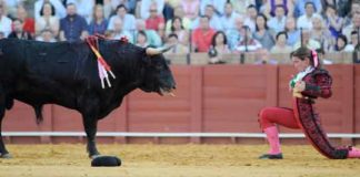 Conchi Ríos, en un desplante el pasado domingo. (FOTO: Sevilla Taurina)