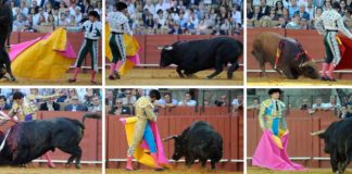 Los toros del 26 de septiembre, por los suelos. (FOTOS: Sevilla Taurina)