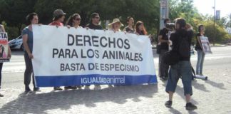 Un reducido grupo de antitaurinos se manifiestan el pasado Corpus en la misma acera de la Maestranza. (FOTO: Javier Martínez)