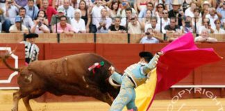 Manzanares, en una insólita imagen a portagayola por dos veces en la Maestranza. (FOTO: lopez-matito.com)