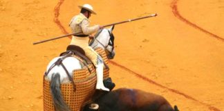 Uno de los toros lidiado durante el pasado ciclo de San Miguel. (FOTO: Javier Martínez)