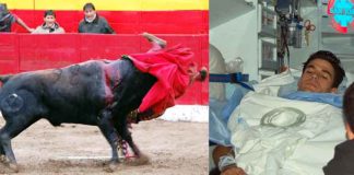 Cornada sufrida por Pablo Aguado hoy en Cadalso de los Vidrios y traslado del novillero sevillano al Hospital de Móstoles tras ser operado en la enfermería. (FOTO: Ángel Bravo/El rincón taurino)