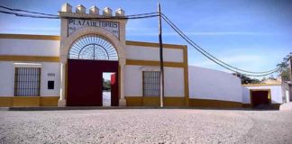 Fachada de la plaza sevillana de Alcalá del Río.