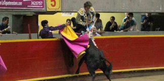 Manuel Escribano, cogido contra las tablas por el pecho. (FOTO: Julián Velasco / Mundotoro)