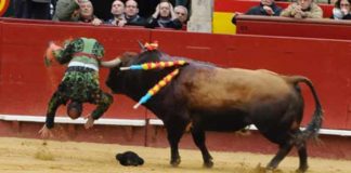 La cornada de Santi Acevedo en Valenia. (FOTO: Alberto de Jesús/Mundotoro)