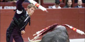 Manuel Escribano, esta tarde en Madrid. (FOTO: las-ventas.com)