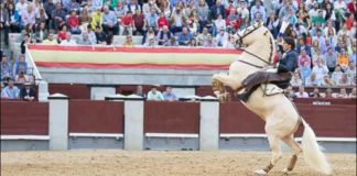 Diego Ventura, en un adorno hoy en Madrid. (FOTO: las-ventas.com)