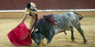 Esaú Fernández, con el 'miura' en Tudela.