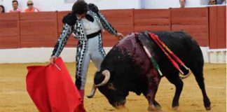 Morante toreando hoy sábado en Zafra. (FOTO: Gallardo / Badajoz Taurina)